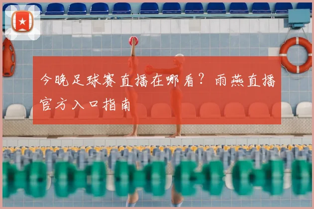 今晚足球赛直播在哪看？雨燕直播官方入口指南