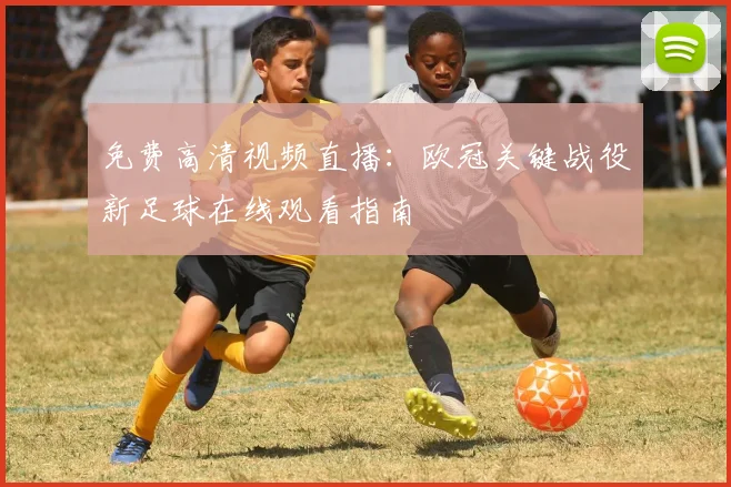 免费高清视频直播：欧冠关键战役新足球在线观看指南
