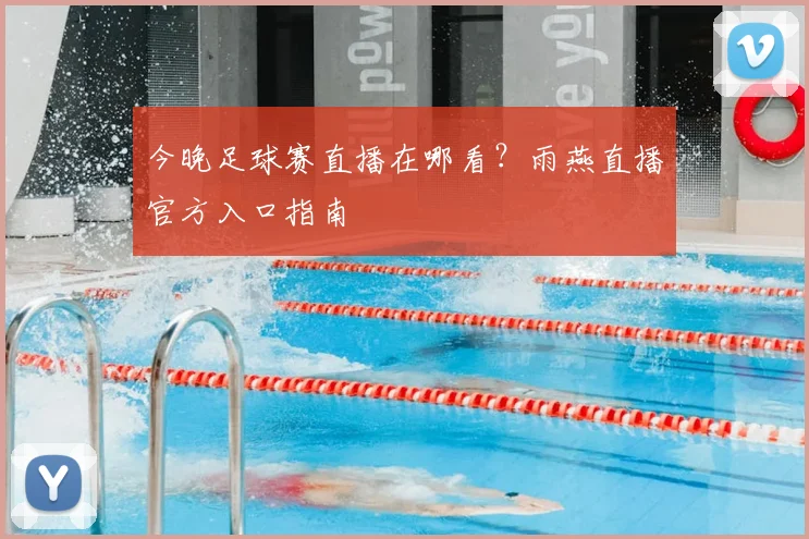 今晚足球赛直播在哪看？雨燕直播官方入口指南